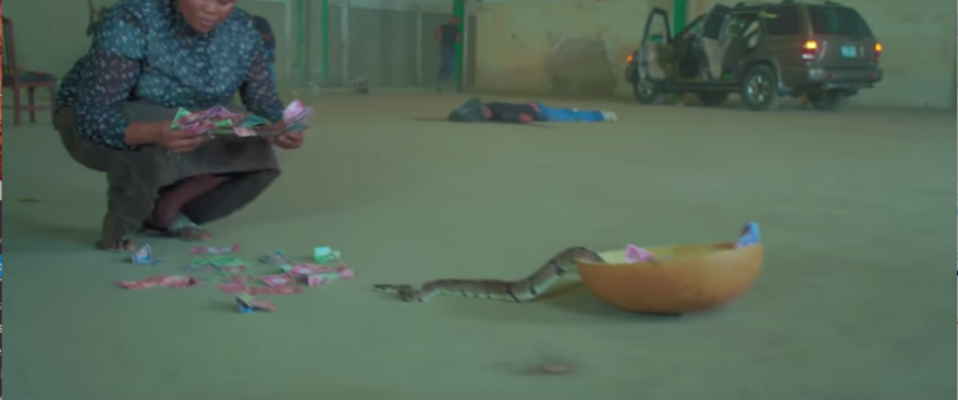 Money eating snake