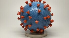 3D print of a SARS-CoV-2—also known as 2019-nCoV, the virus that causes COVID-19—virus particle. The virus surface (blue) is covered with spike proteins (red) that enable the virus to enter and infect human cells. The spikes on the surface of coronaviruses give this virus family its name – corona, which is Latin for “crown,” and most any coronavirus will have a crown-like appearance.