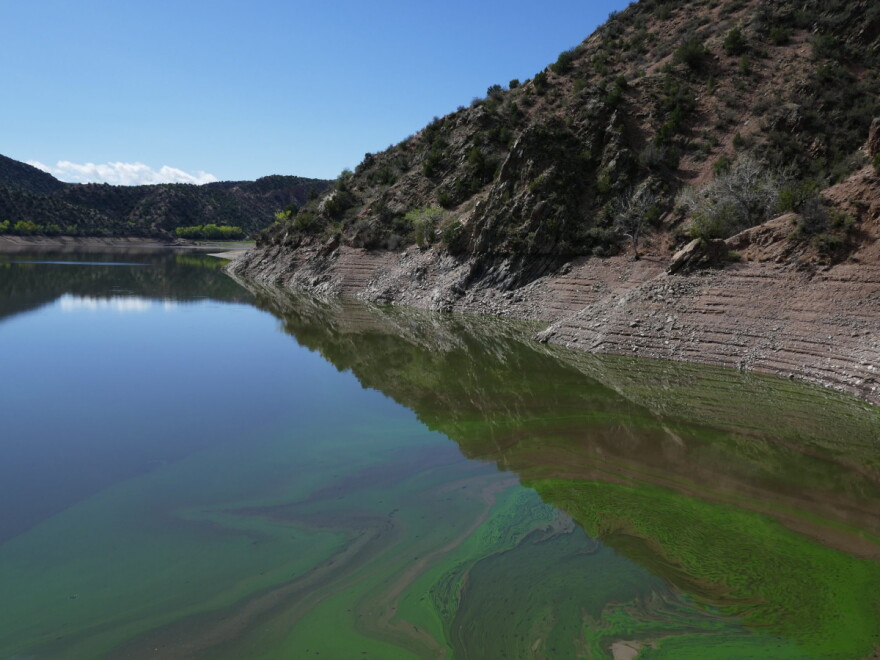 Algae bloom at the Santa Cruz Lake near Chimayo, New Mexico, on September 18, 2026.