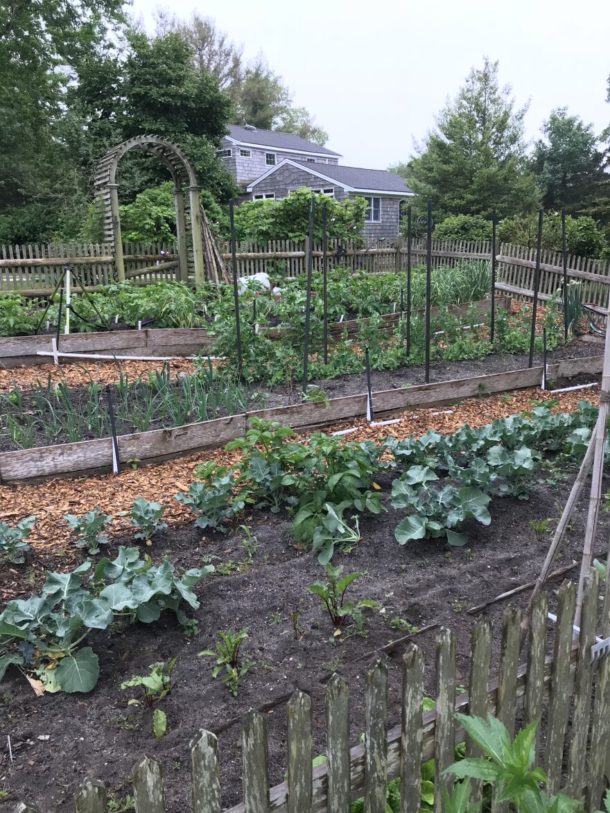 Helene Simon's garden