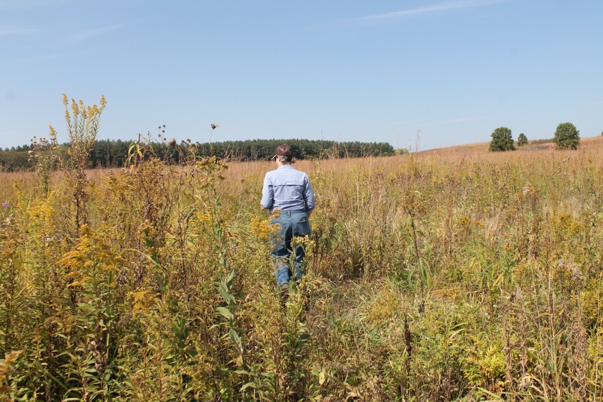 Elizabeth Bach in Nachusa Grasslands.