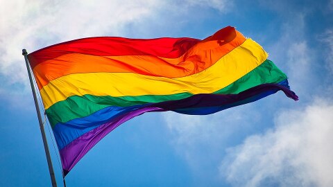 Rainbow flag
