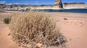 A lasting megadrought would be bad news for the Colorado River and its reservoirs. That includes Lake Powell, seen here April 24, 2024, at Lone Rock Beach in southern Utah.