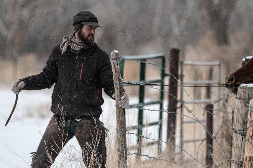 Tyrell Bishoff leads his horse out of the pasture. He wears many hats on the ranch.