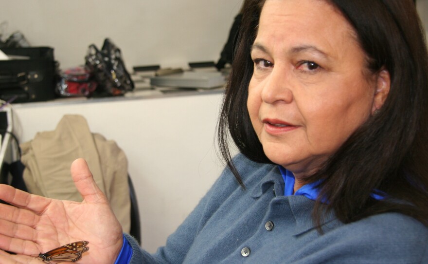 More than three decades have passed since Catalina Aguado and her husband discovered a monarch butterfly sanctuary in a Mexican forest — and helped solve the mystery of the monarch's migration. <em></em>