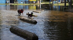 Photo by Virginia Sea Grant. The Hampton Roads Planning District Commission recommends local cities prepare for at least 1.5 feet of higher sea levels by 2050 and 3 feet by 2080.