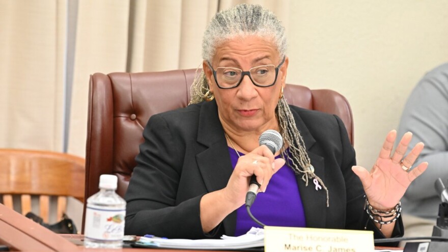 Pictured: Senator Marise James