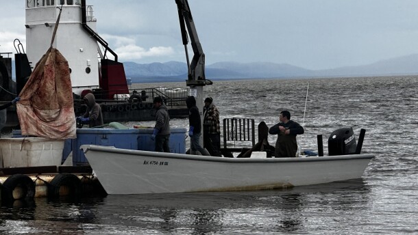 Kotzebue Sound fisherman