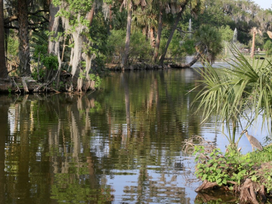 City Park in New Orleans.