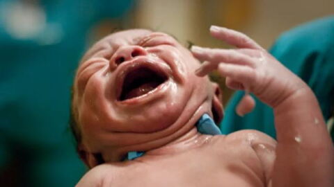 A newborn.