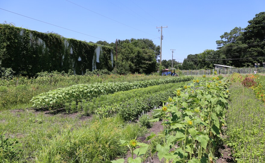 Located in Columbia, City Roots brings the tranquility of farm life to a neighborhood downtown.
