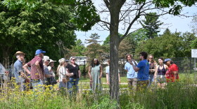 The walking portion of the last A²ZERO TREEducation event, a tree identification workshop, in Ann Arbor, Michigan