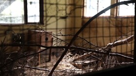 A dimly lit cage with a wooden nesting box and branches leaning at all angles. It appears to be empty.