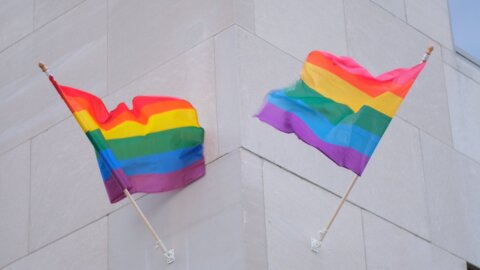 Pride flags fly at the George W. Romney Building in Lansing on June 15, 2019.