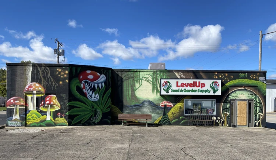 Level Up east mural