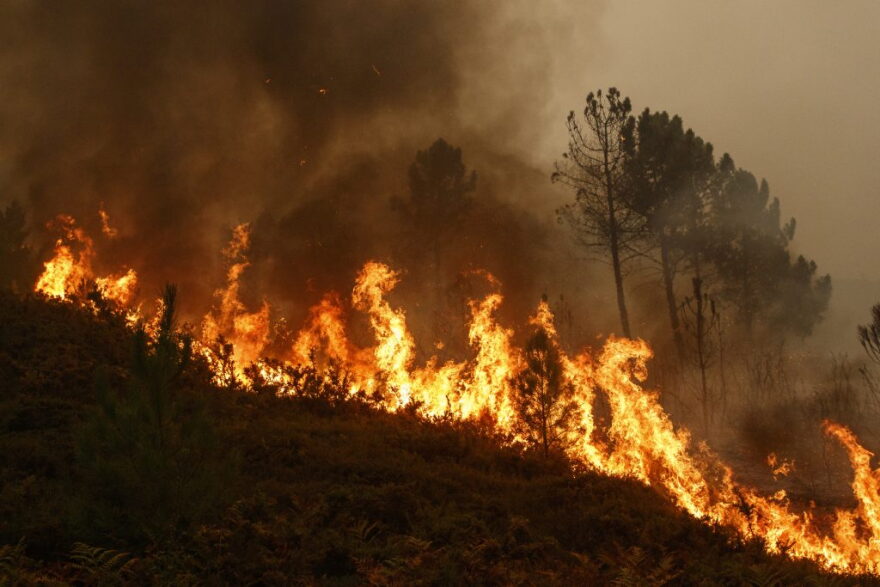 In the two decades leading up to 2016, Idaho had more acres burned in wildfires than any other state in the continental U.S., according to an Idaho Statesman analysis of federal wildfire data. (Photo courtesy of Ada County)
