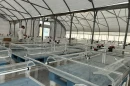 The nursery for fledgling coral in Summerland Key.