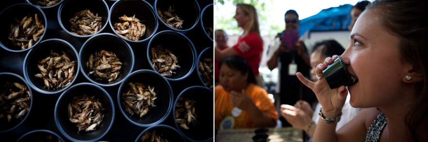 Katherine Eklund, with D.C Central Kitchen, competes in a cricket eating competition.