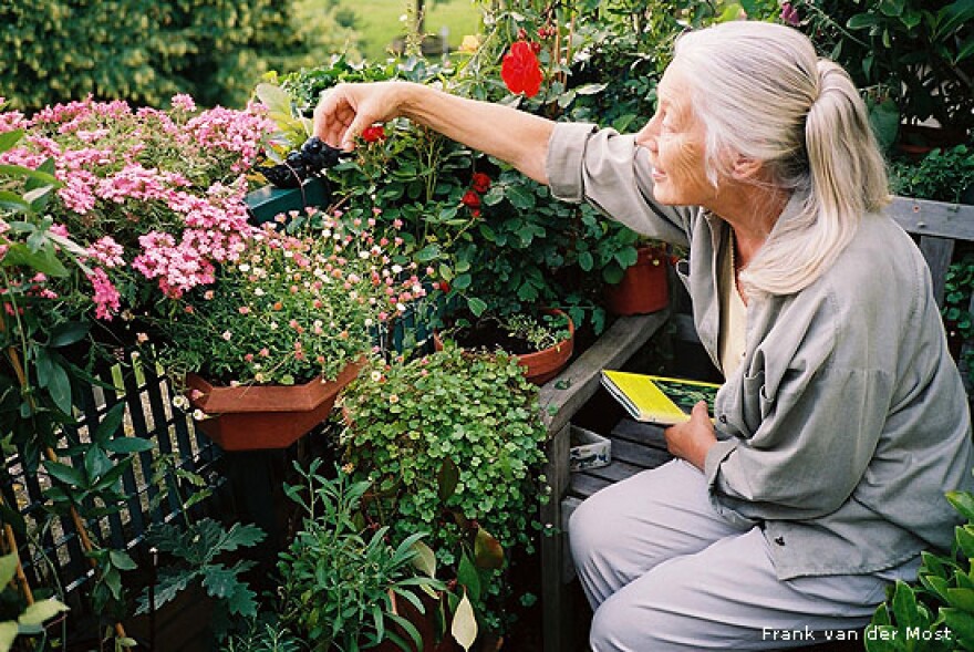 balcony-garden