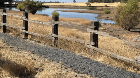 Chico's park commission approved rules on Monday to let people scatter the ashes of loved ones in Bidwell Park.