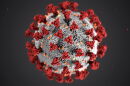 coronavirus hero