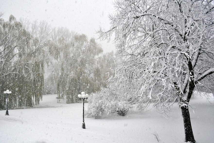snow_mn.jpg