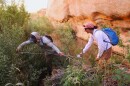 A man and a woman hold a measuring tape near bushes and a stream in a rocky desert canyon