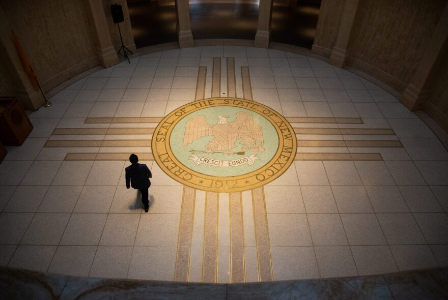 The state seal in the rotunda of the New Mexico State Capitol in Santa Fe, N.M. Two Democratic candidates are vying for the state's second highest executive position, including the termed-out Secretary of State Maggie Toulouse Oliver and Sen. Harold Pope Jr. (Photo by Liam DeBonis for Source NM)