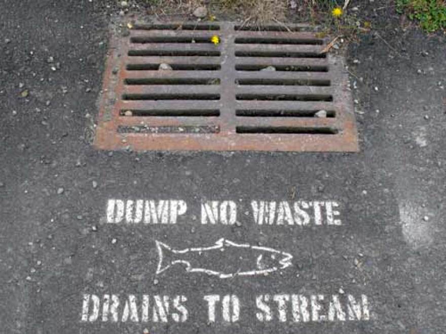 Drain stencil, Broadview neighborhood in northwest Seattle.  Part of an effort by Seattle Public Utilities and creek advocates to protect water quality in the urban streams.