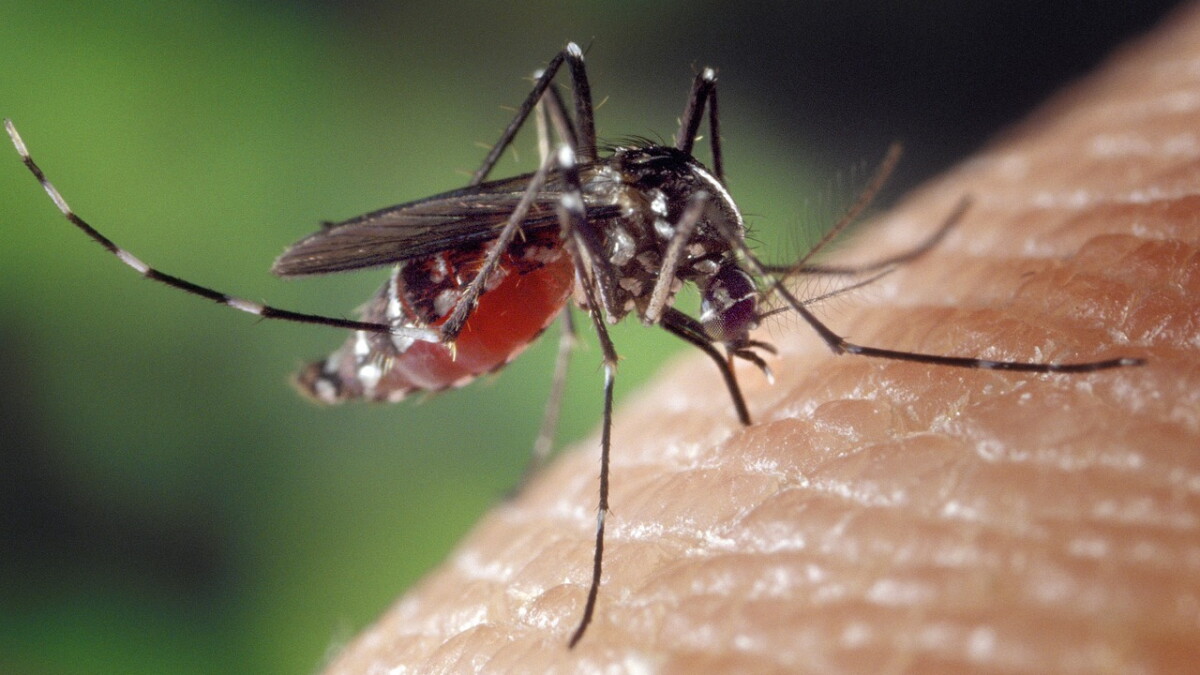 Eastern Equine Encephalitis virus activity confirmed in Wisconsin this year
