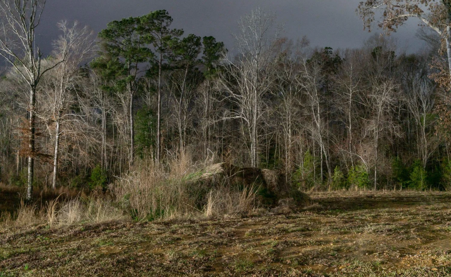 LaSalle Correctional Center. Olla, Louisiana. Detainee population: 755. Town population: 1,754