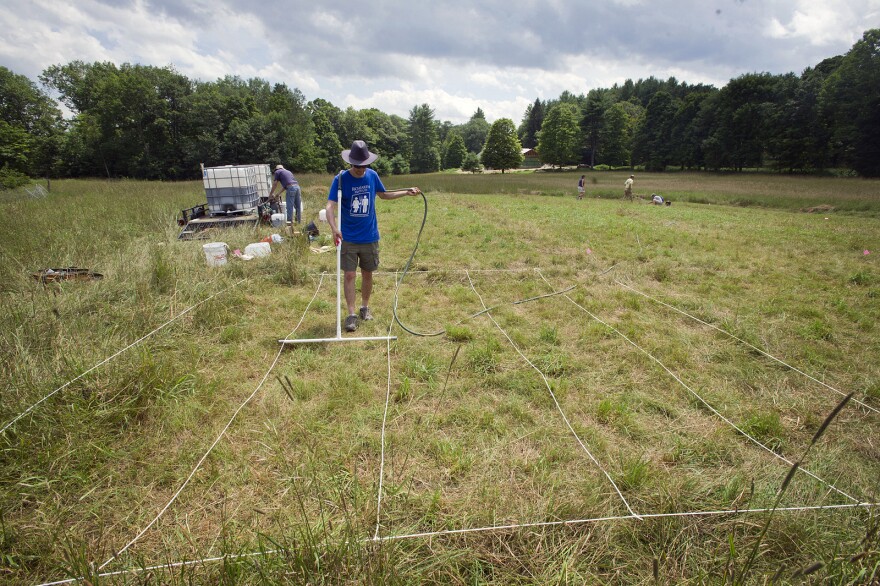 Abraham Noe-Hays, research director of the Rich Earth Institute in Vermont, applies urine to a 5-by-5-meter test plot on a hay farm.