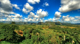 Cuban wilderness