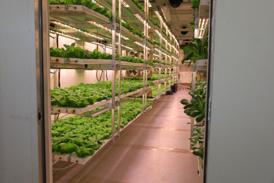 Inside Fresh Farm Produce