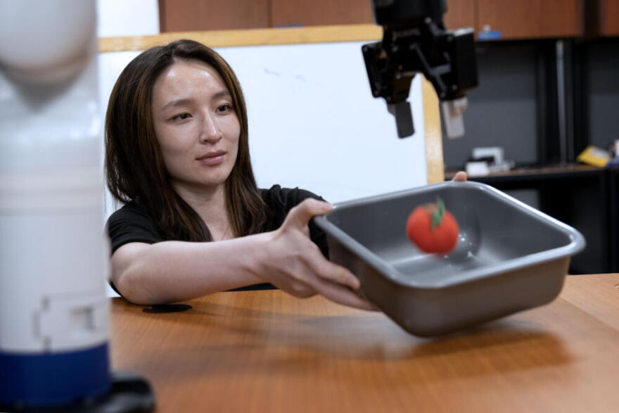 Researcher Helen Lu works with a robot arm as it delivers a simulated tomato into a dish at the Human Robot Interaction Lab, at Tufts University.  (Robin Lubbock/WBUR)