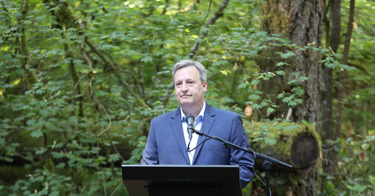 New Washington state forest conservation plan under fire | KNKX Public ...