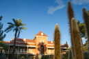 Old Main Cactus UA Hero