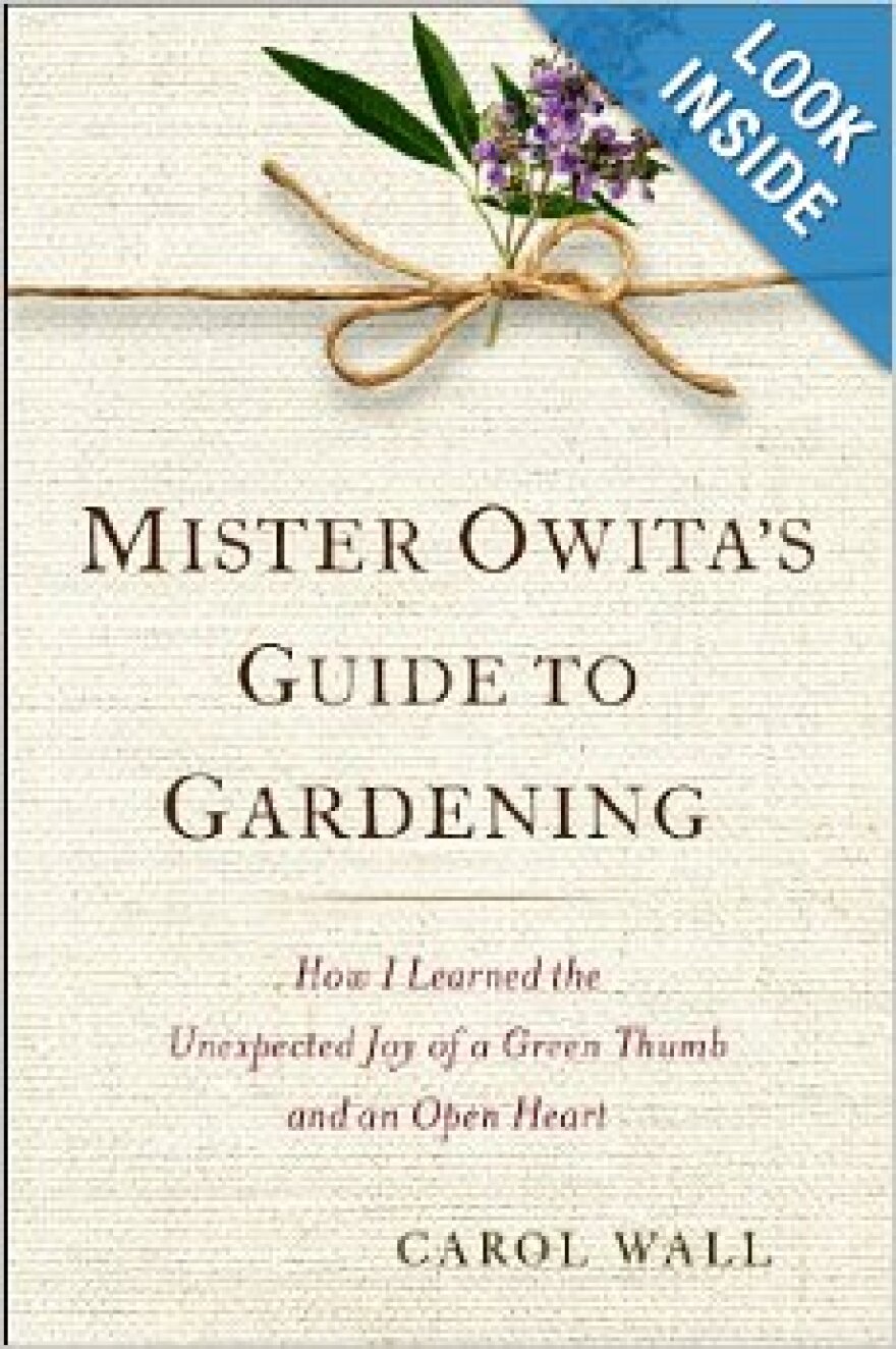 mister_owita.jpg
