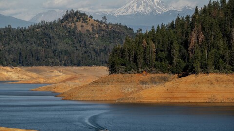Shasta Trinity National Forest, Calif