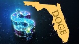 illustration shows a dollar sign with the state of florida with the word DOGE