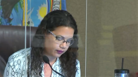 Commissioner Emily Bonilla, shown behind coronavirus shielding during a meeting Tuesday, told the emotional story of a beloved dog she purchased years ago from a retail pet store. Image: Orange County via video