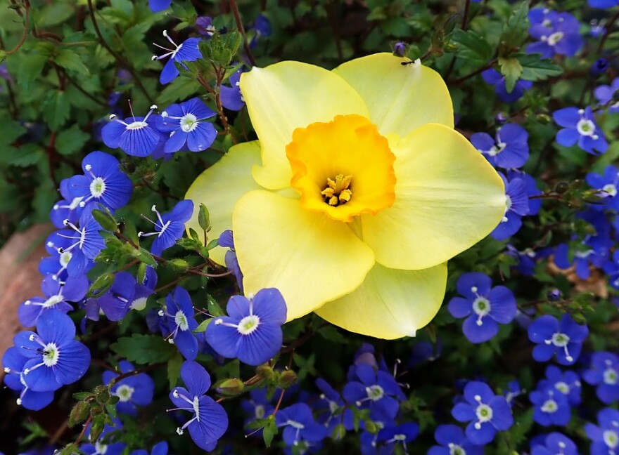 It's spring!