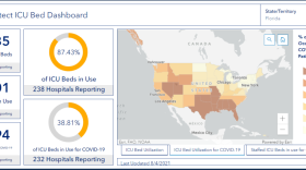 Florida continues to set records for the number of patients hospitalized with COVID-19. (Photo: HHS Data)