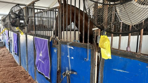 Caution tape is attached to fans in the temporary stalls at the Kentucky Fairgrounds near where a horse was electrocuted a few days earlier.