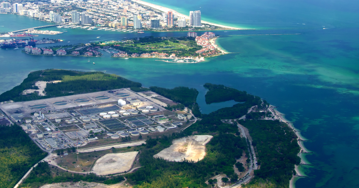 City of Miami takes over historically Black beach, Brazil’s tight presidential election, wetlands boundary moved