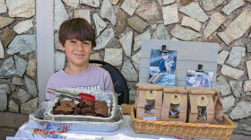  A child sitting at a table selling brownies and dog biscuits.