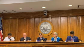 City commissioners and the mayor of Gainesville authorized the spending of $2 million for Wild Spaces Public Places' proposed list of small projects on Thursday. (Anneliese Linder/ WUFT News)