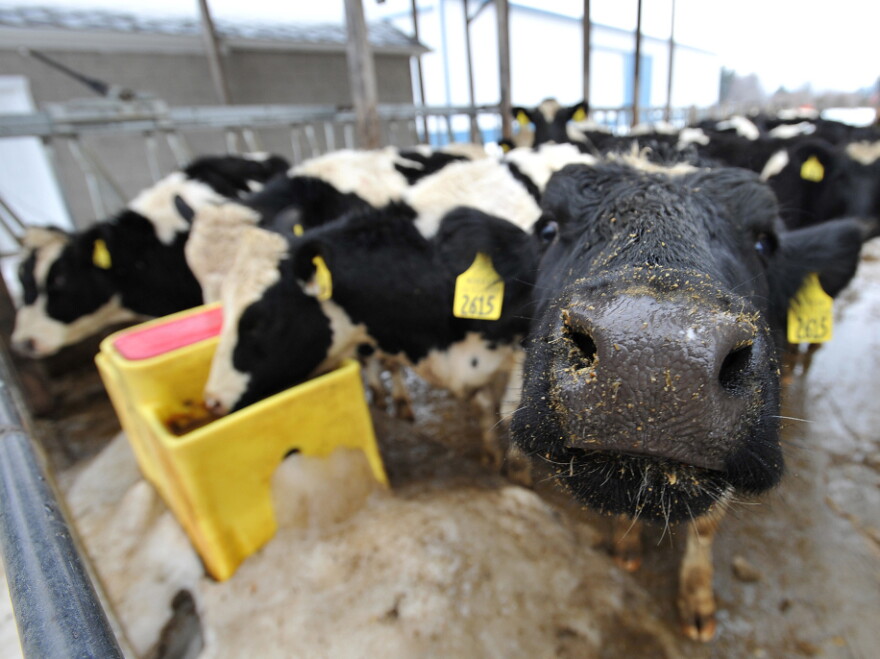 Big agribusiness has launched a media campaign designed to revive its tarnished image by promoting the American farmer.