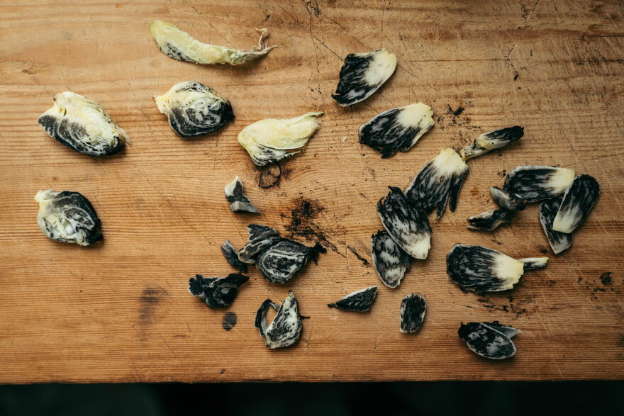 Thin slices of fresh corn smut sit on a table before being infused in mushroom kombucha at Confluence Kombucha on Aug. 26 in St. Louis' Fox Park neighborhood.
