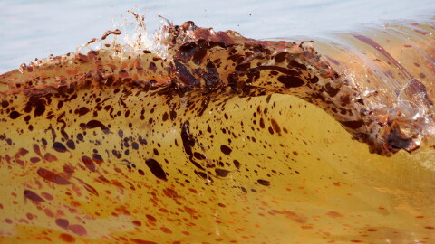 A light yellow ocean wave is dotted with blots of oil.